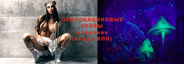 СК Балахна